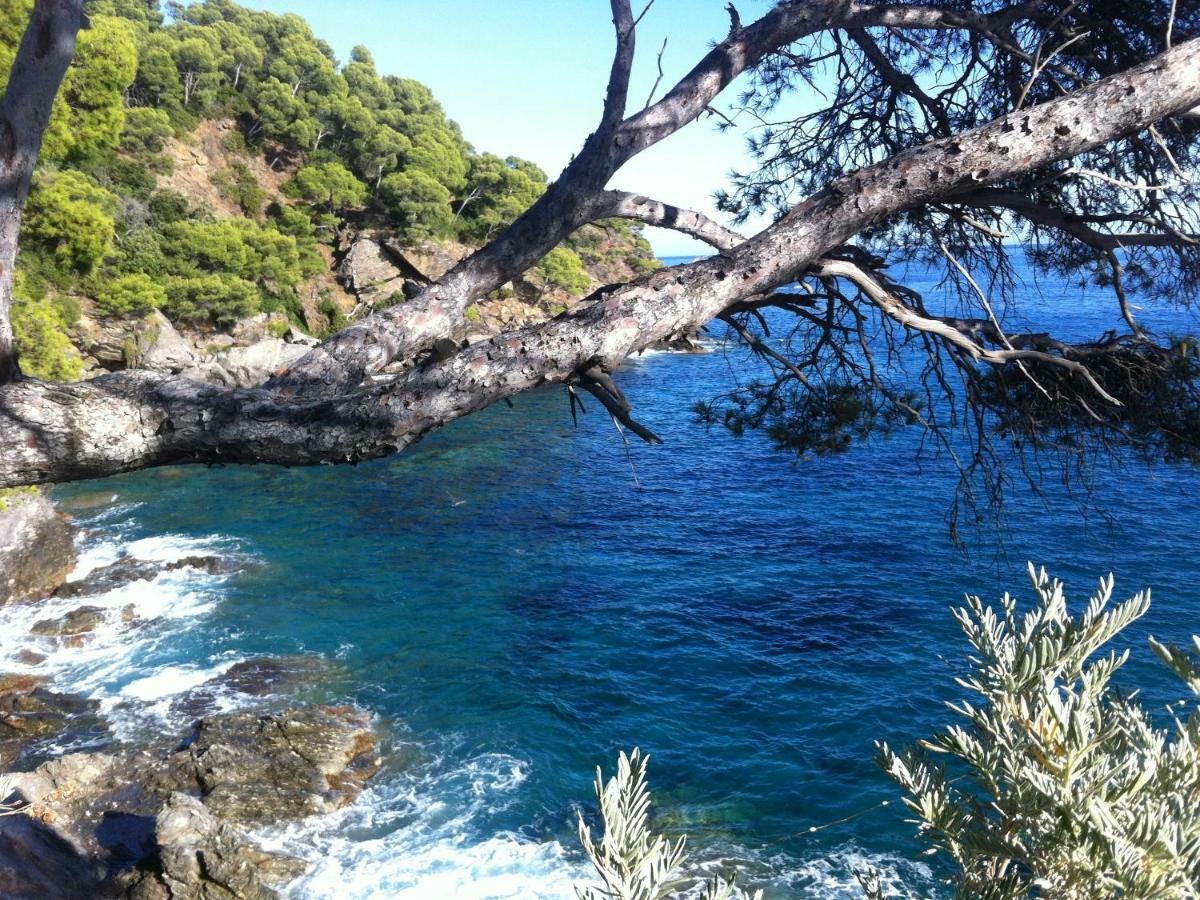 Villa De Vacances Au Calme Proche De La Mer Ла-Лонд-ле-Мор Екстер'єр фото